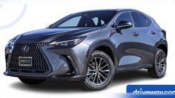 2023 Lexus NX 350 Base