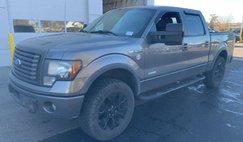 2012 Ford F-150 FX4