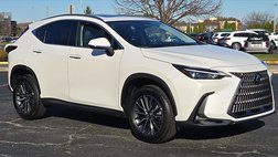 2024 Lexus NX 250 Base