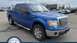 2010 Ford F-150 XLT