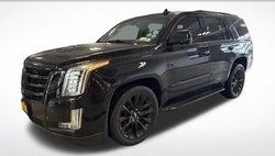 2019 Cadillac Escalade Luxury
