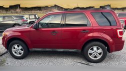 2010 Ford Escape XLT