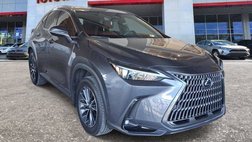 2025 Lexus NX 250 Premium