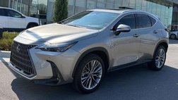 2025 Lexus NX 350 Premium