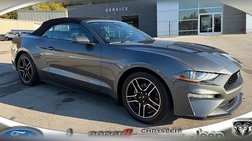 2022 Ford Mustang EcoBoost