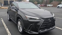 2025 Lexus NX 350 Luxury
