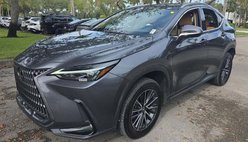 2024 Lexus NX 250 Premium