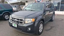 2009 Ford Escape XLT
