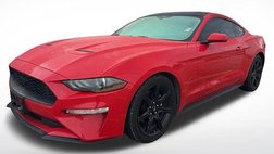 2019 Ford Mustang EcoBoost