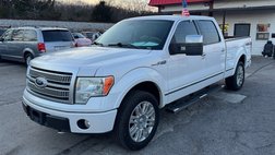 2010 Ford F-150 Platinum