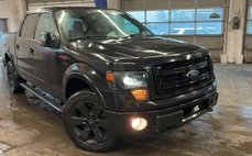 2013 Ford F-150 FX4