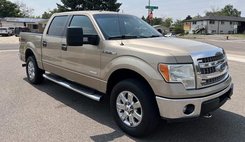 2013 Ford F-150 XLT