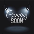 2014 BMW 5 Series 535i