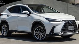 2024 Lexus NX 350h Luxury