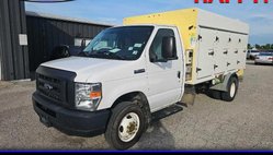 2019 Ford E-Series E-450 DRW 158