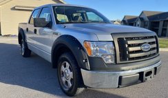 2009 Ford F-150 XL