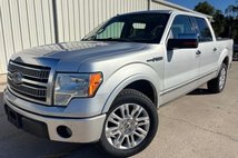 2010 Ford F-150 Platinum
