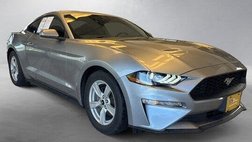 2021 Ford Mustang EcoBoost