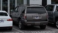 2025 Toyota Sienna Limited 7-Passenger