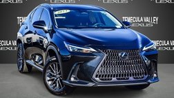 2023 Lexus NX 350 Base