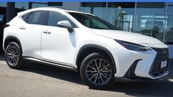2024 Lexus NX 350 Premium
