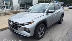 2024 Hyundai Tucson Hybrid Blue