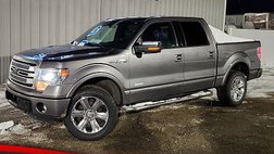 2013 Ford F-150 Platinum