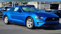 2019 Ford Mustang EcoBoost