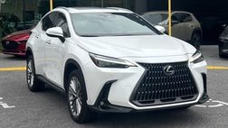 2022 Lexus NX 350 Luxury