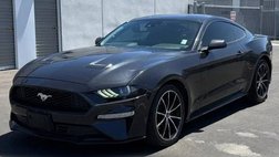 2023 Ford Mustang EcoBoost