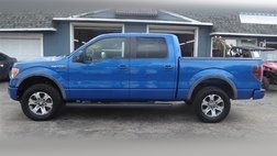 2012 Ford F-150 Platinum