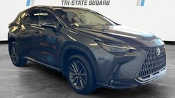 2025 Lexus NX 350h Premium