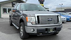 2010 Ford F-150 XL