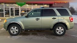 2008 Ford Escape XLT
