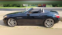 2014 Mercedes-Benz SLK-Class SLK 250