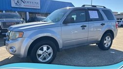 2011 Ford Escape XLT