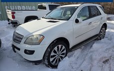 2007 Mercedes-Benz M-Class ML 500