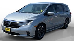 2024 Honda Odyssey Elite