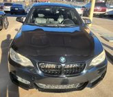 2014 BMW 2 Series M235i