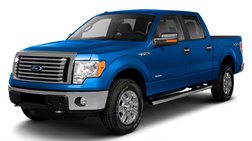2010 Ford F-150 Platinum