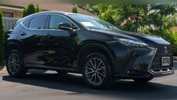 2025 Lexus NX 350 Premium
