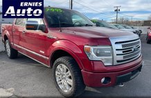 2014 Ford F-150 Platinum