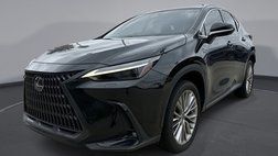 2023 Lexus NX 350h Luxury