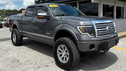 2012 Ford F-150 Platinum