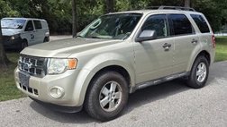 2010 Ford Escape XLT