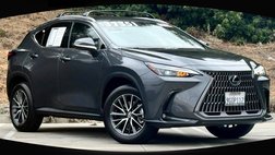 2024 Lexus NX 250 Base