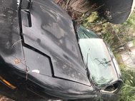1995 Pontiac Firebird Trans Am