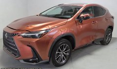 2025 Lexus NX 250 Base