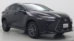 2025 Lexus NX 250 Base