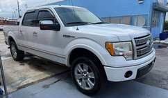 2010 Ford F-150 Platinum